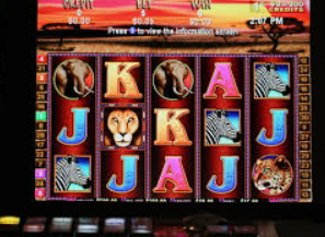 南宫app2024最新版